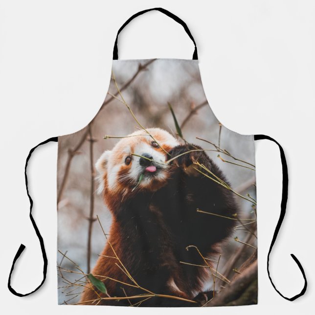 SÜßER KOALA-BÄR SCHÜRZE (Vorderseite)
