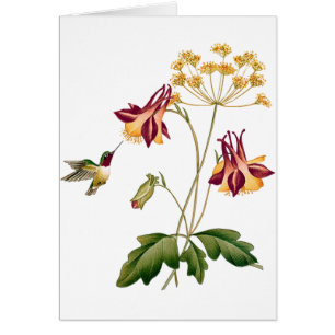 Süßer Kolibri-Vintager botanischer Garten