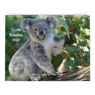 Süßer kuscheliger Koala-Kalender 2027 Kalender
