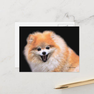 Süßer lachender Pomeranian-Hund Postkarte