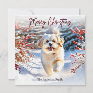 Süßer Lhasa-Apso-Hund im Schnee Frohe Weihnachten