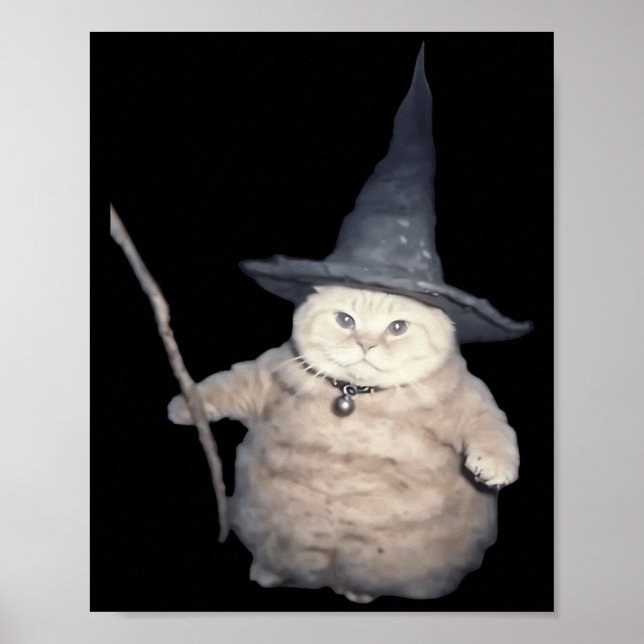 Süßer lustiger Zauberer-Katze seltsames Kätzchen K Poster (Vorne)