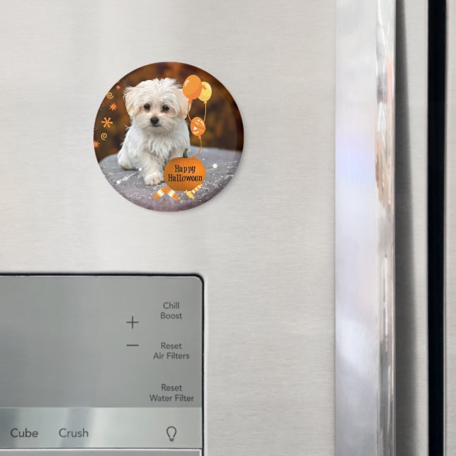 Süßer Malteser-Welpe feiert Halloween  Magnet (In Situ (Kühlschrank))