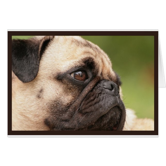 Süßer Mops (Vorderseite (Horizontal))
