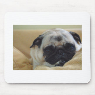 Süßer Mops Mousepad