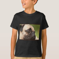 Süßer Mops