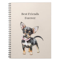 Süßer niedlicher brauner Creme Chihuahua Hund best