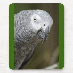 süßer Papagei Mousepad
