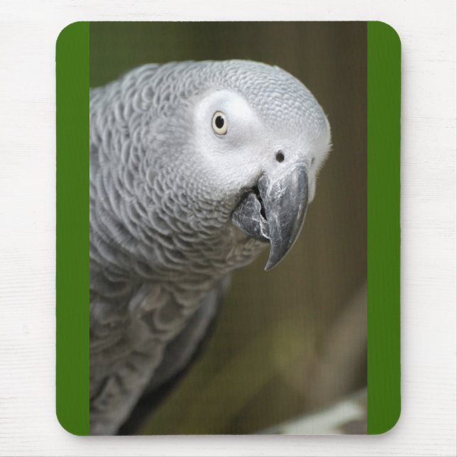 süßer Papagei Mousepad (Vorne)
