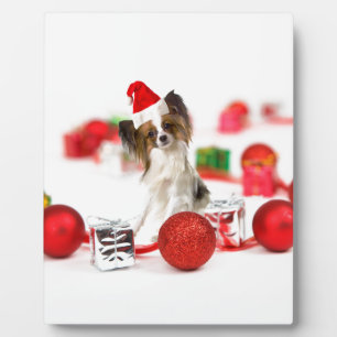 Süßer Papillon-Hund Weihnachten Santa Hut Fotoplatte