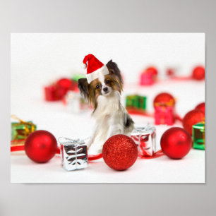 Süßer Papillon-Hund Weihnachten Santa Hut Poster