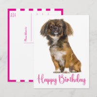Süßer Pekingeser Geburtstag Welpe Hund Geburtstag