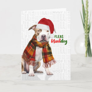 Süßer Pit Bull Hund Flöhe Navidog Weihnachten
