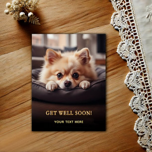 Süßer Pomeranian Gute Besserung  Postkarte