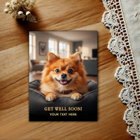 Süßer Pomeranian Gute Besserung