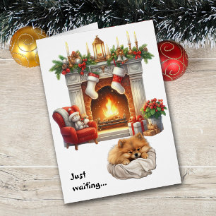 Süßer Pomeranian-Hund wartet auf Weihnachten