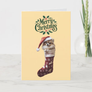 Süßer Pomeranian-Hund Weihnachten Karte