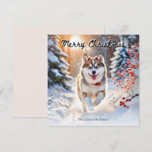 Süßer Pomsky-Hund im Schnee Weihnachten Frohe Weih