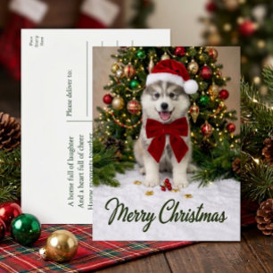 Süßer Pomsky-Welpe Hund Santa Liebhaber Frohe Weih Feiertagspostkarte