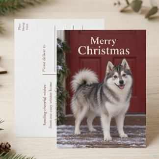 Süßer Pomsky-Welpe Hundeliebhaber Frohe Weihnachte Feiertagspostkarte