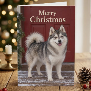 Süßer Pomsky-Welpe Hundeliebhaber Frohe Weihnachte Karte