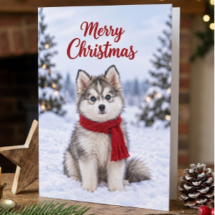 Süßer Pomsky-Welpe Hundeliebhaber Schneeweihnachte Karte