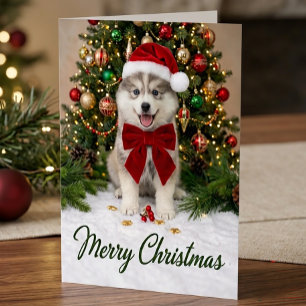 Süßer Pomsky-Welpe-Hundliebhaber-Santa-Hut-Weihnac Karte