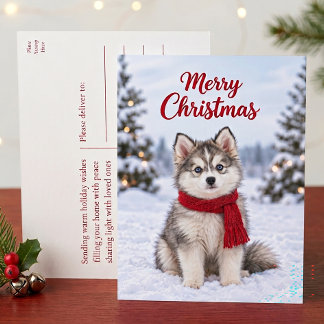 Süßer Pomsky-Welpe Husky-Hundefan Frohe Weihnachte Feiertagspostkarte
