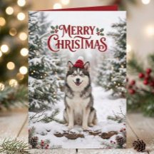 Süßer Pomsky-Welpe Husky-Hundefan Weihnachten