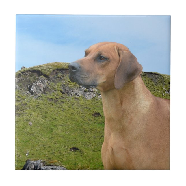Süßer Rhodesian Ridgeback Hund Fliese (Vorderseite)