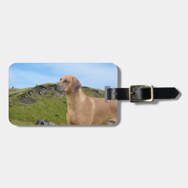 Süßer Rhodesian Ridgeback Hund Gepäckanhänger (Vorderseite horizontal)