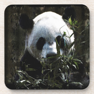 Süßer Riesen-Panda-Bär mit leckeren Bambusblättern Untersetzer
