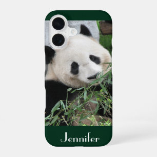 Süßer Riesenpanda auf dunkelgrünem Hintergrund, Na iPhone 16 Hülle