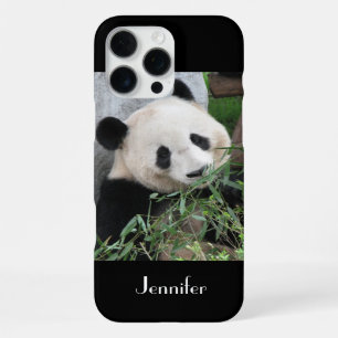 Süßer Riesenpanda, Name, Schwarz iPhone 16 Pro Max Hülle