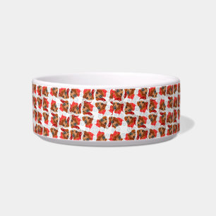 Süßer roter Dachshund-Name Weihnachtsmuster Napf
