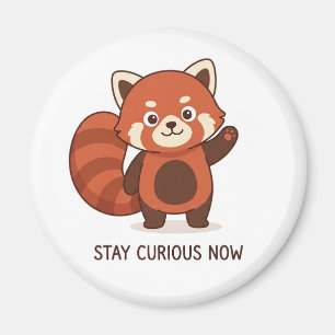 Süßer roter Panda als inspirierender Magnet