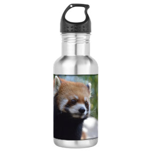 Süßer roter Panda-Bär Trinkflasche