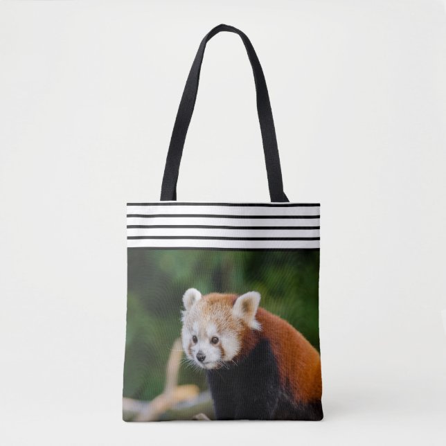 Süßer Roter Panda Gestreift (Vorderseite)