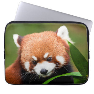 Süßer Roter Panda Laptopschutzhülle