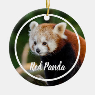 Süßer Roter-Panda-Rahmen Keramik Ornament