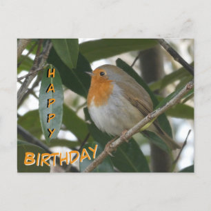 Süßer Rotkehlchen und grüne Blätter Happy Birthday Postkarte