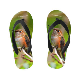 Süßer Rotschwanzkolibri auf einem Zweig des Pflaum Kinderbadesandalen