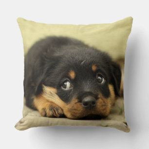 Süßer Rottweiler-Welpe Kissen