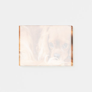 Süßer Ruby Cavalier King Charles Spaniel Post-it Klebezettel
