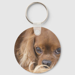Süßer Ruby Cavalier King Charles Spaniel Schlüsselanhänger