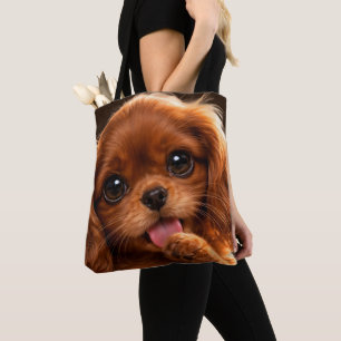 Süßer Ruby Cavalier Spaniel
