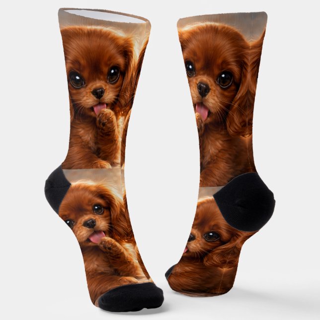 Süßer Ruby Cavalier Spaniel Socken (Gewinkelt)
