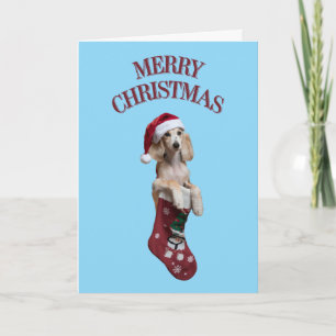 Süßer Saluki-Hund Weihnachten Karte