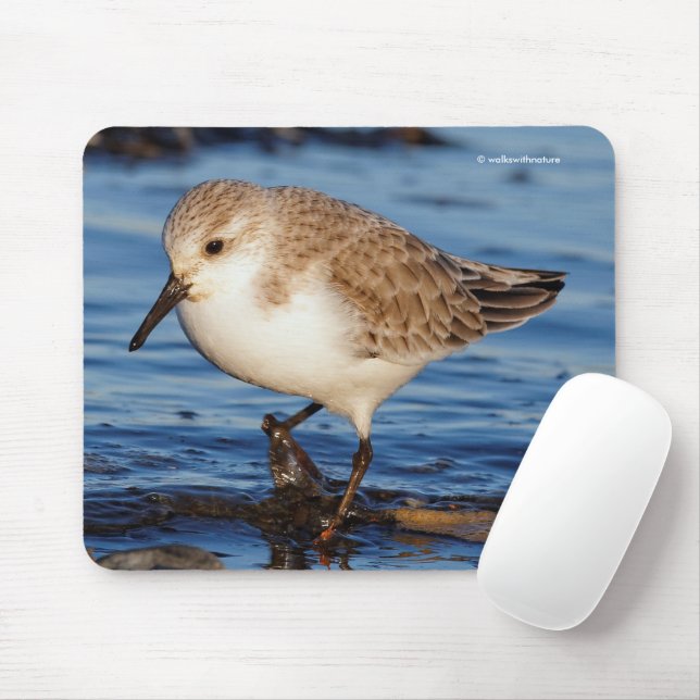 Süßer Sanderling Schnepfenvogel Strandvogel wander Mousepad (Mit Mouse)