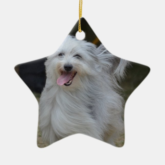 Süßer Schäferhund Keramikornament (Vorne)